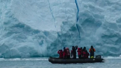 Untitled Design 2026 10 28T142511.910 krill fishing Antarctic
