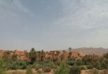 Untitled Design 2026 10 28T143150.540 Great Green Wall Sahel