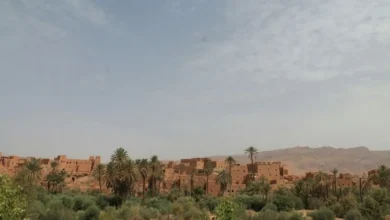 Untitled Design 2026 10 28T143150.540 Great Green Wall Sahel