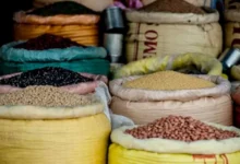 Untitled design 2026 10 01T175330.074 india food grain target