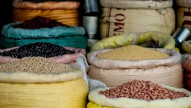 Untitled design 2026 10 01T175330.074 india food grain target