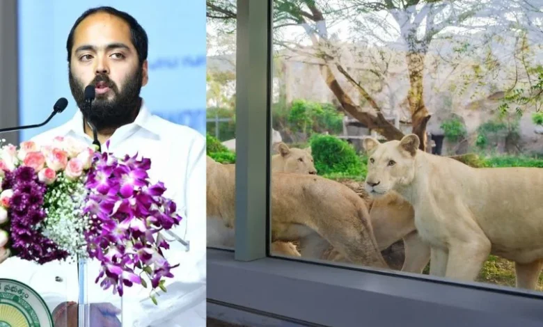 Vantara Brazil wildlife deal