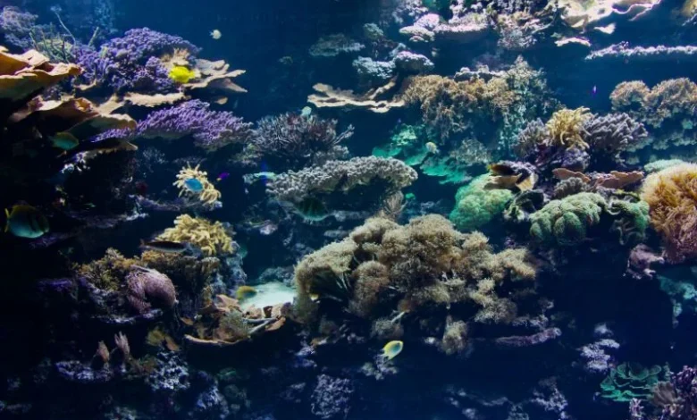 57 new marine species