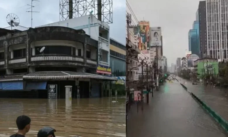 Thailand floods death toll