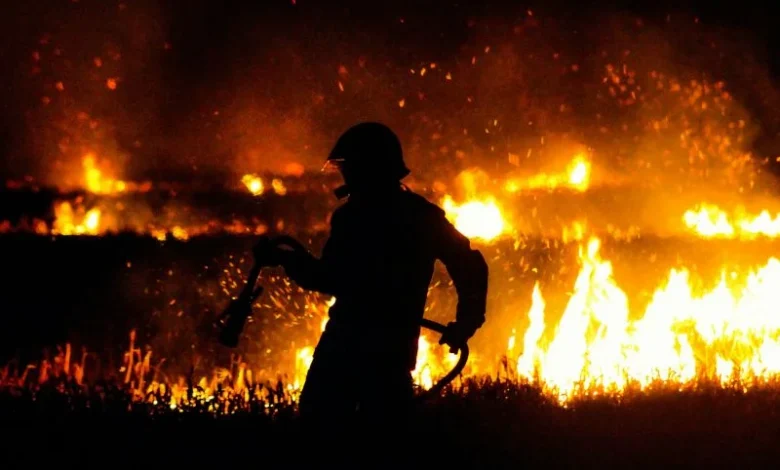 Untitled design 2026 10 08T162632.223 Pontianak forest fire