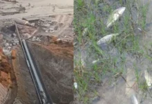 Untitled design 2026 10 08T194837.112 Zambia Copperbelt pollution