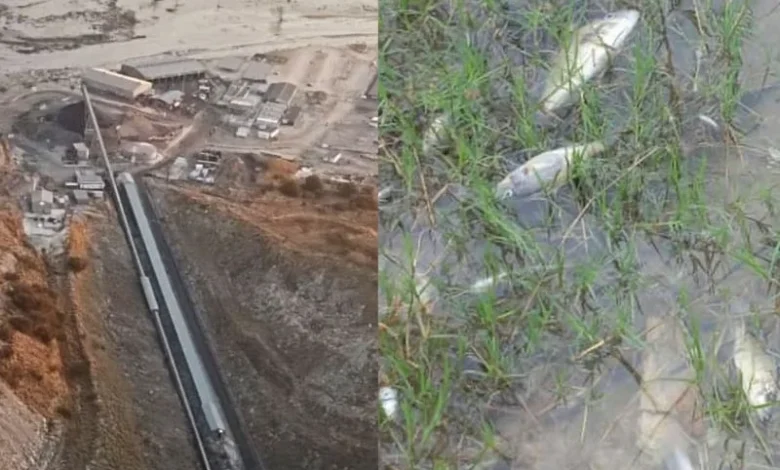 Untitled design 2026 10 08T194837.112 Zambia Copperbelt pollution