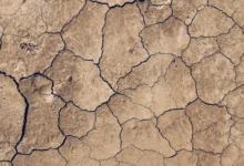 Untitled design 2026 10 10T165015.438 Hungary drought