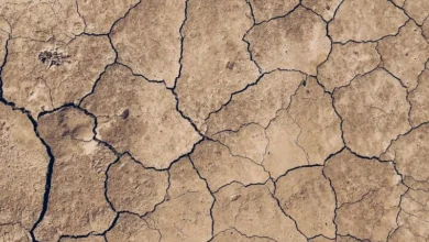 Untitled design 2026 10 10T165015.438 Hungary drought
