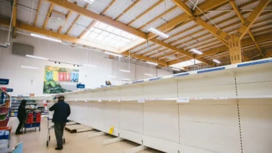 Untitled design 2026 10 12T194615.997 climate change food security
