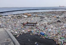 Untitled design 2026 10 12T200248.914 plastic pollution solutions