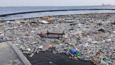 Untitled design 2026 10 12T200248.914 plastic pollution solutions