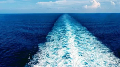 Untitled design 2026 10 14T161155.814 Atlantic current tipping point
