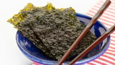 Untitled design 2026 10 14T185454.193 seaweed cow methane