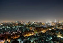 Untitled design 2026 10 14T191308.351 light pollution wildlife
