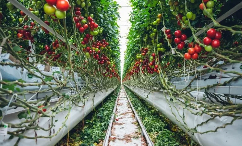 vertical farming