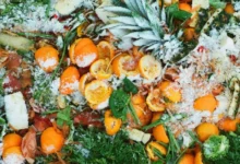 Untitled design 2026 10 16T203358.890 food waste climate