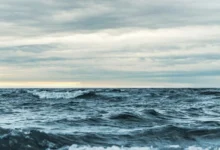 Untitled design 2026 10 17T181719.107 ocean acidification