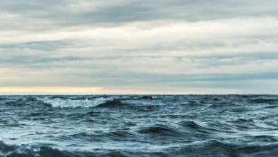 Untitled design 2026 10 17T181719.107 ocean acidification