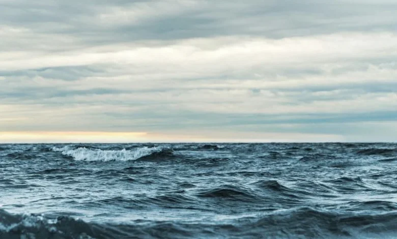 ocean acidification