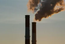 Untitled design 2026 10 17T182333.449 carbon offsets