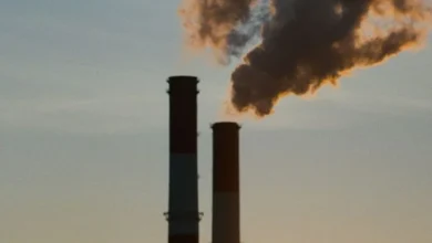 Untitled design 2026 10 17T182333.449 carbon offsets