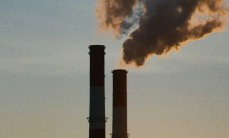 Untitled design 2026 10 17T182333.449 carbon offsets