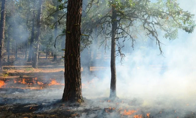wildfire smoke health