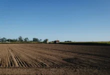 Untitled design 2026 10 17T185831.236 soil degradation