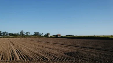 Untitled design 2026 10 17T185831.236 soil degradation