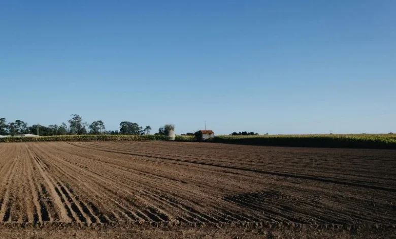 Untitled design 2026 10 17T185831.236 soil degradation