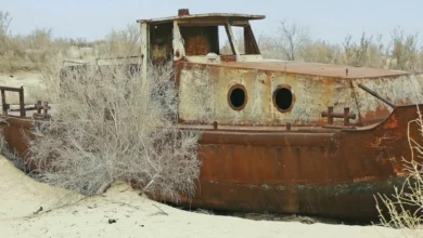 aral sea disaster aral sea disaster