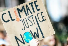 climate lawsuits courts feature image 1 climate lawsuits