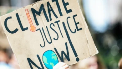 climate lawsuits courts feature image 1 climate lawsuits