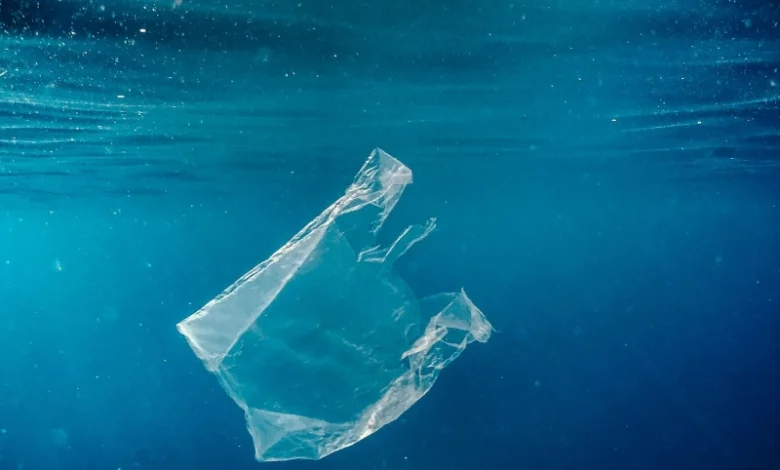 Microplastics