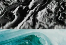 ocean carbon sink ocean carbon sink