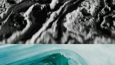 ocean carbon sink ocean carbon sink