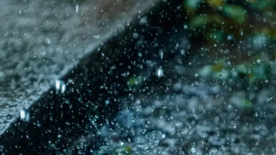 rainwater harvesting at home rainwater harvesting at home