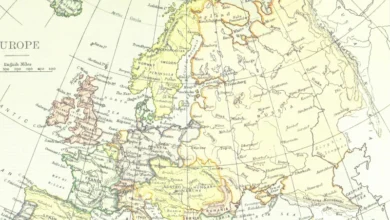 rewilding Europe rewilding Europe
