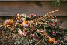 start composting at home start composting at home
