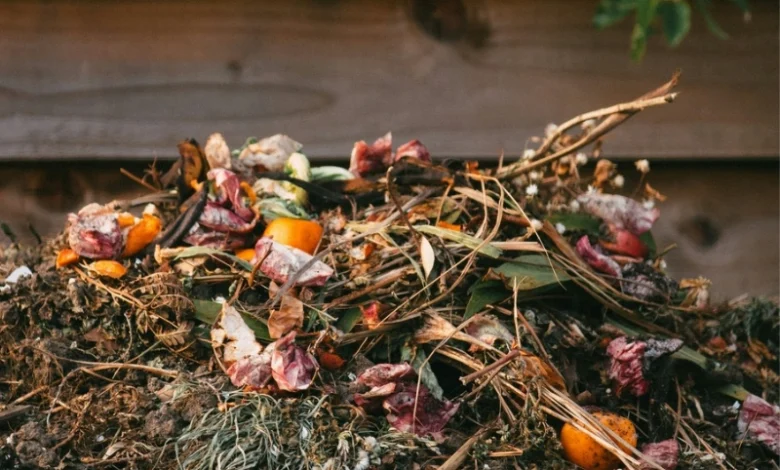 start composting at home