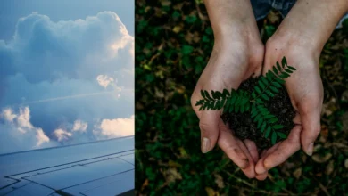 sustainable aviation fuel sustainable aviation fuel