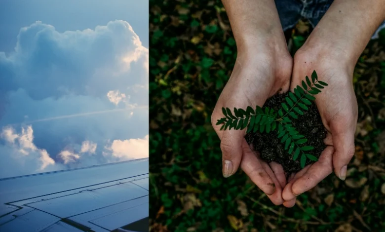 sustainable aviation fuel