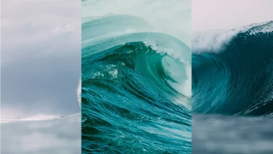 tidal wave power tidal wave power
