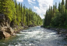 transboundary rivers climate disputes transboundary rivers water disputes