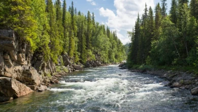 transboundary rivers climate disputes transboundary rivers water disputes