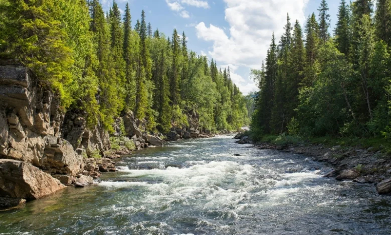 transboundary rivers water disputes